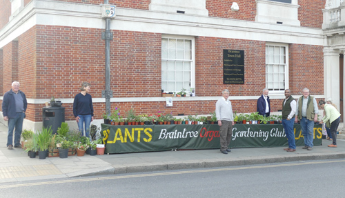 Market stall May 2016