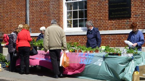 Market stall May 2015